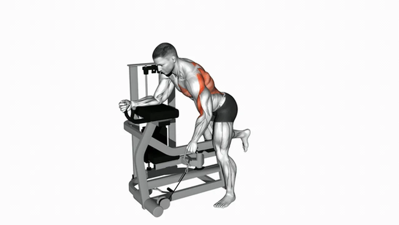 Alternatives to Lever Unilateral Rows Image