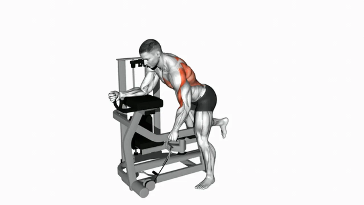 Lever Unilateral Row