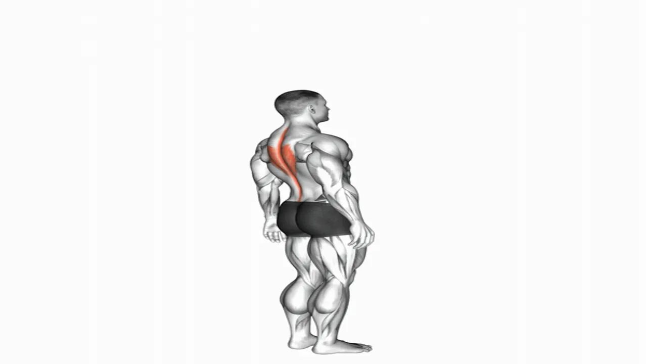 Lumbar Spine Extension