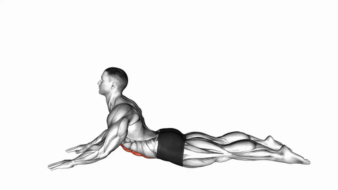 Common variations of the Lying Prone Abdominal Stretch Image