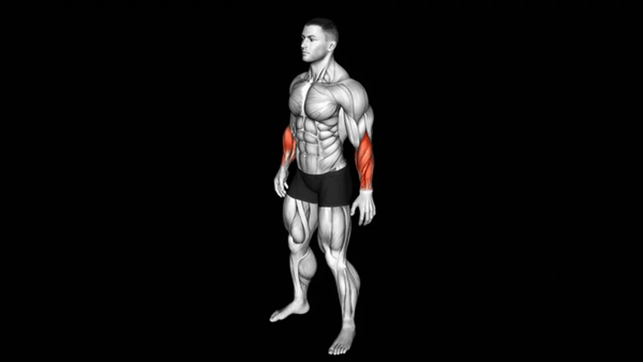 Key Exercises for Each Major Muscle Group Image