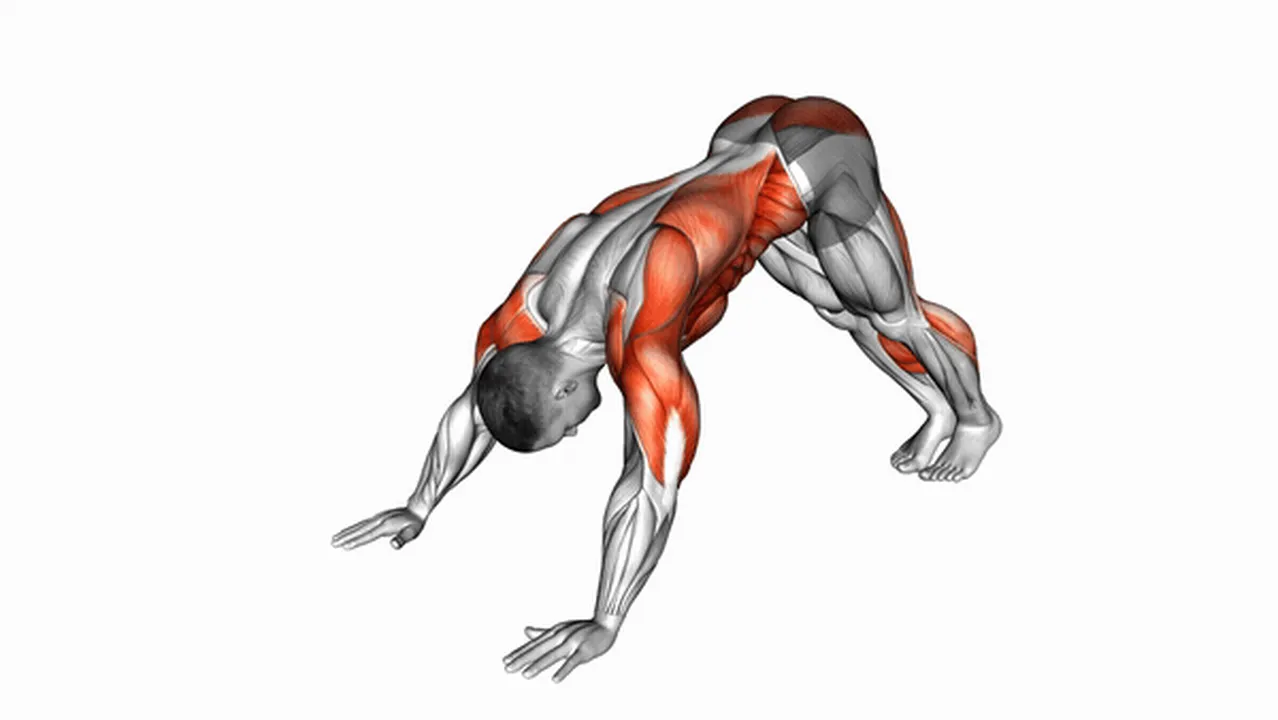 Alternatives to Modified Hindu Push-Ups Image