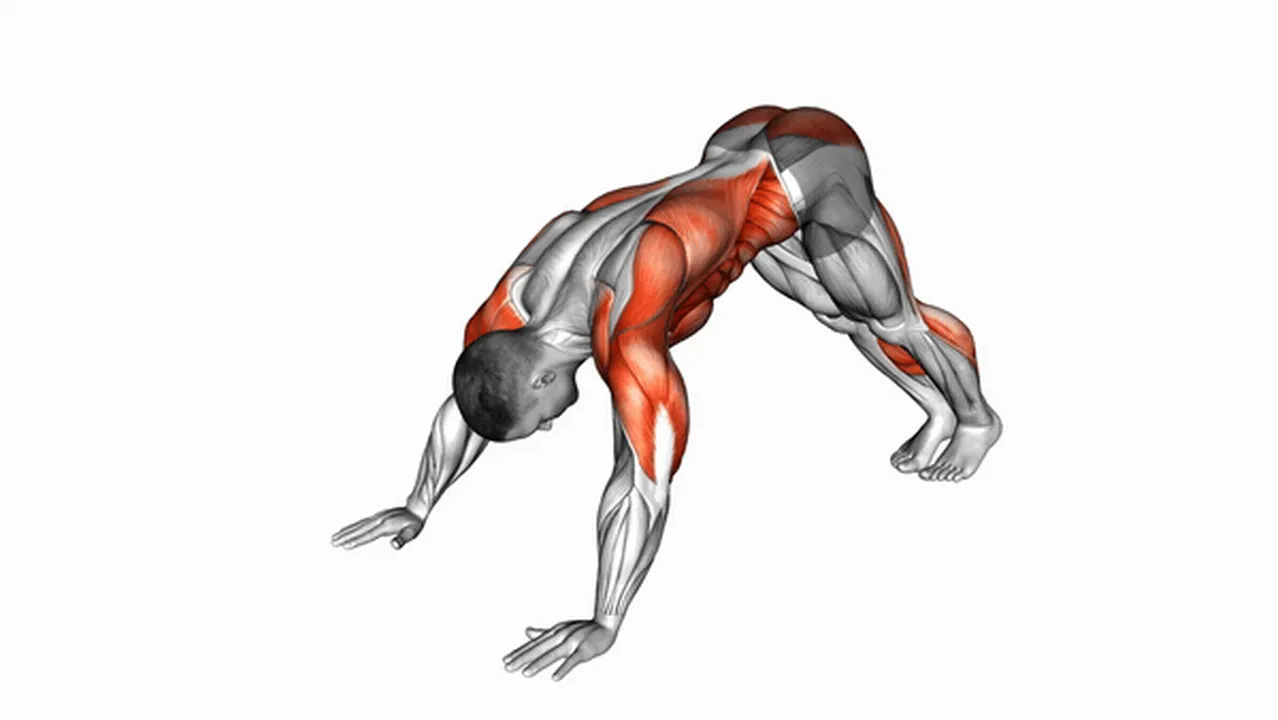 Common mistakes during Modified Hindu Push-Ups Image