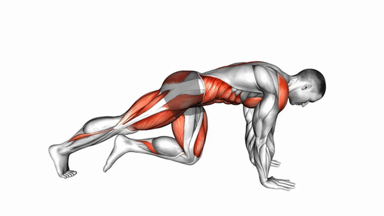 Common Mountain Climbers variations Image