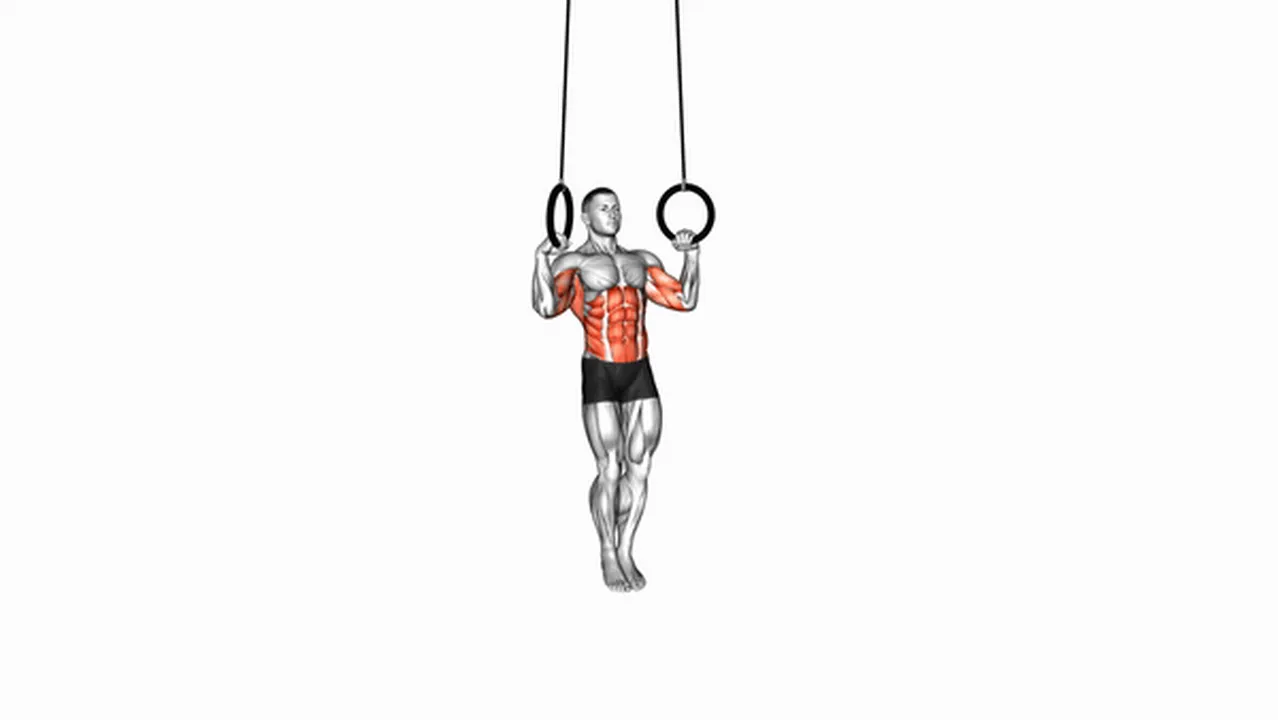 Common Muscle Up variations Image