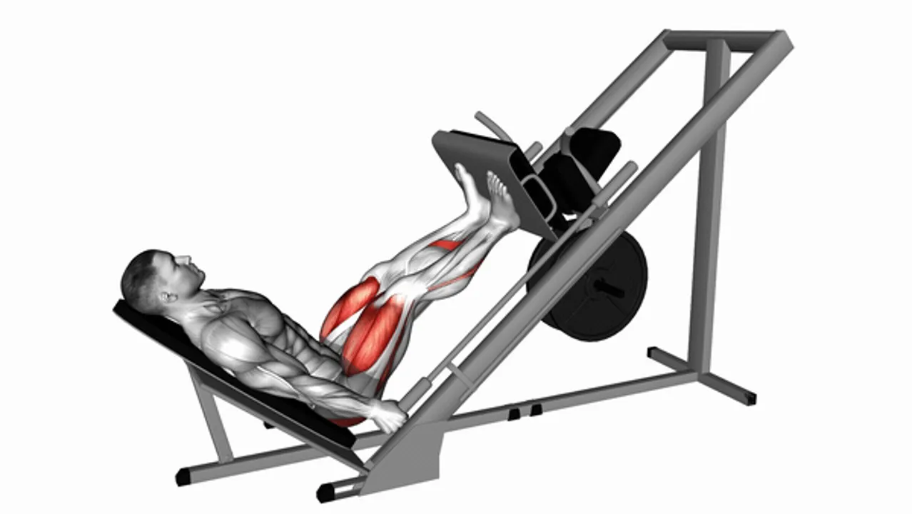 Narrow Stance Leg Press