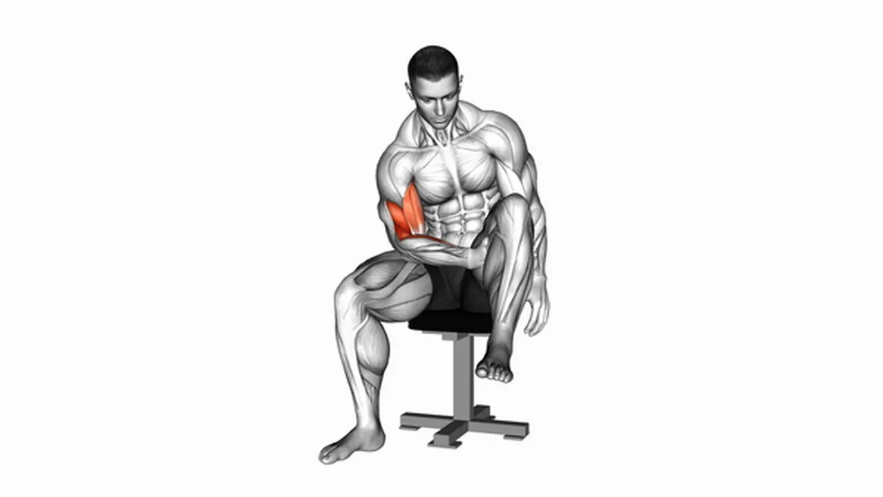 How to do Negative Biceps Concentration Curls? Image