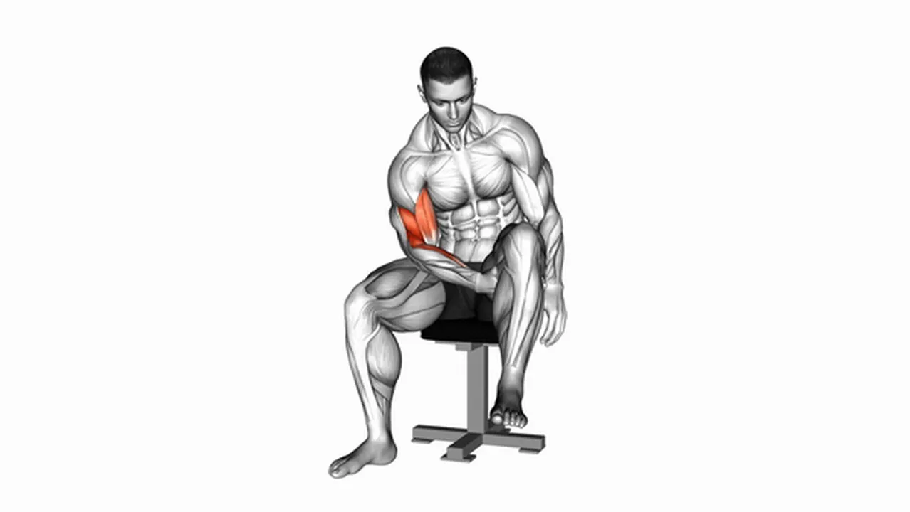 Common Negative Biceps Concentration Curl Variations Image