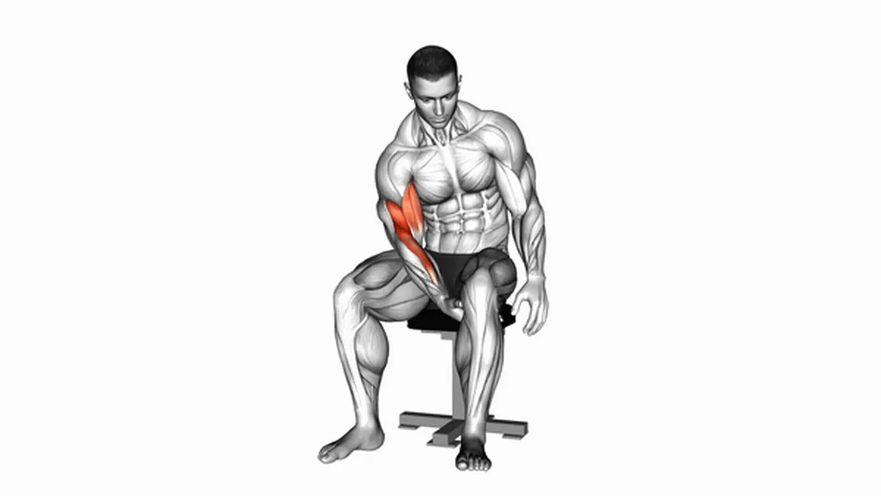 Common mistakes during Negative Biceps Concentration Curls Image