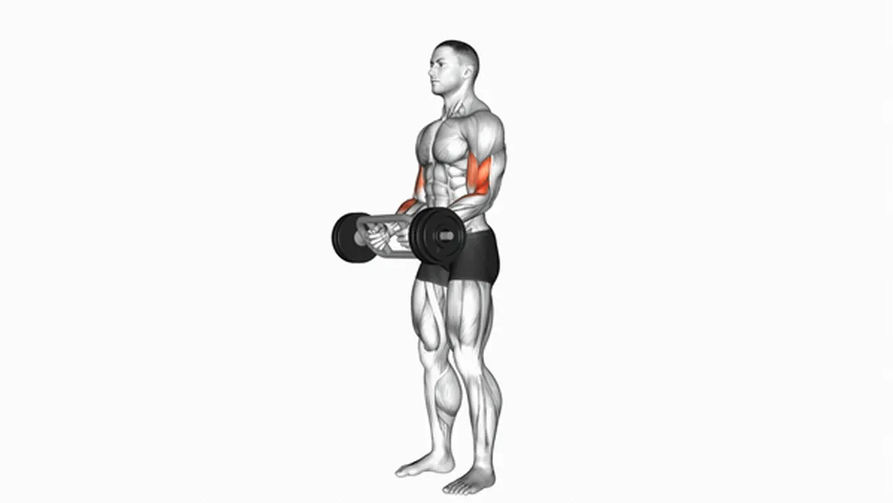 Alternatives to Olympic Barbell Hammer Curls Image