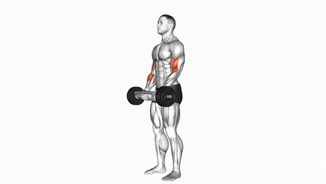 Common mistakes during Olympic Barbell Hammer Curls Image