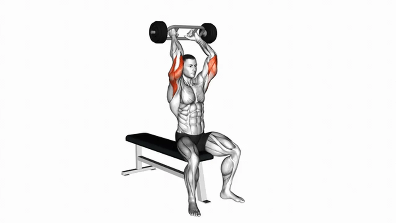 Common Olympic Barbell Triceps Extension variations Image