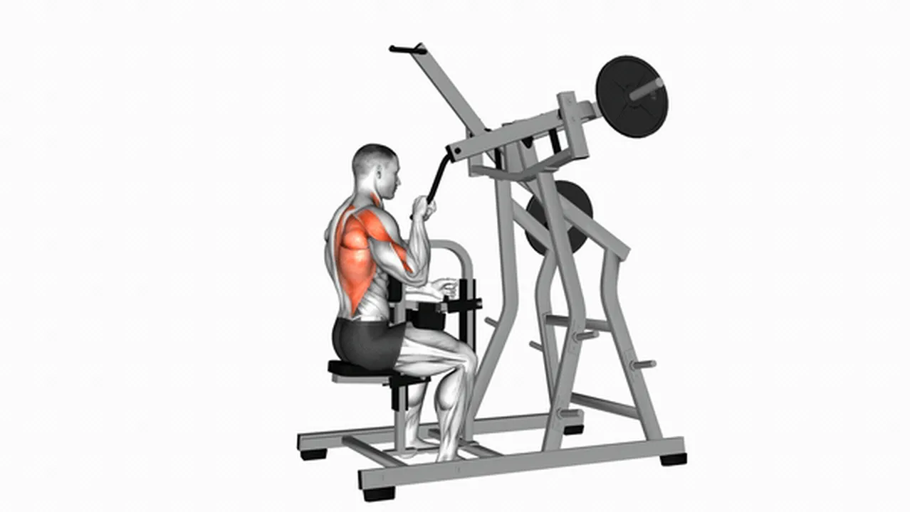 Alternatives to the One Arm Lateral Wide Pulldown Image