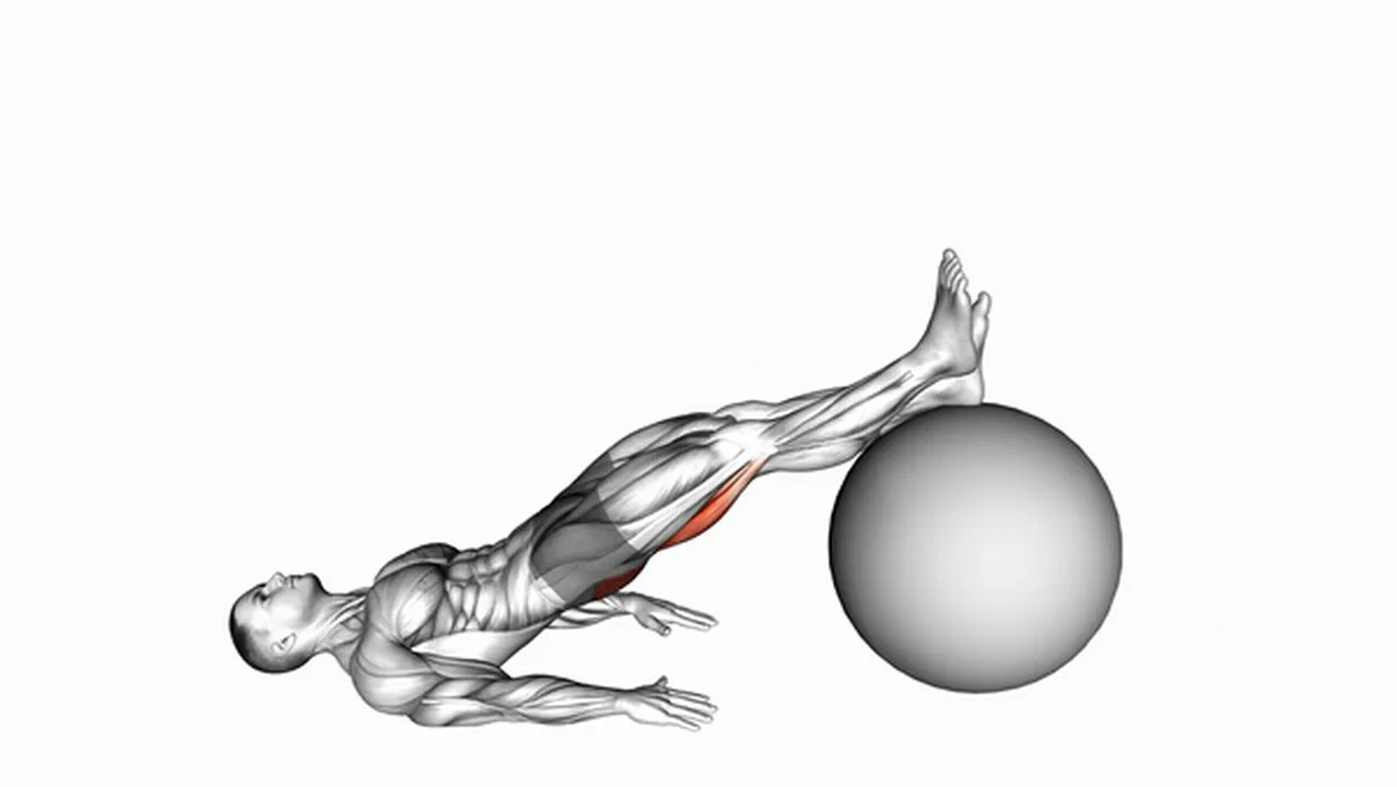 What are the benefits of the One-Legged Diagonal Kick with Exercise Ball? Image