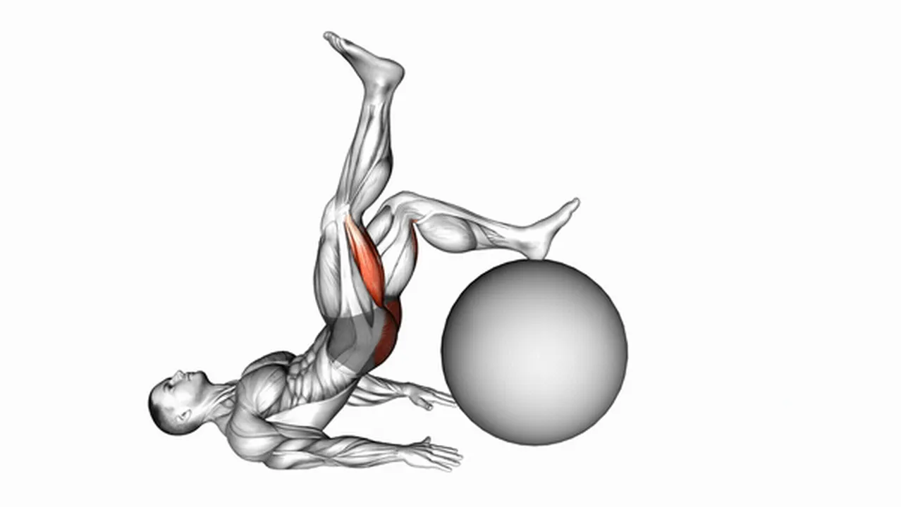 How to do the One-Legged Diagonal Kick with Exercise Ball? Image