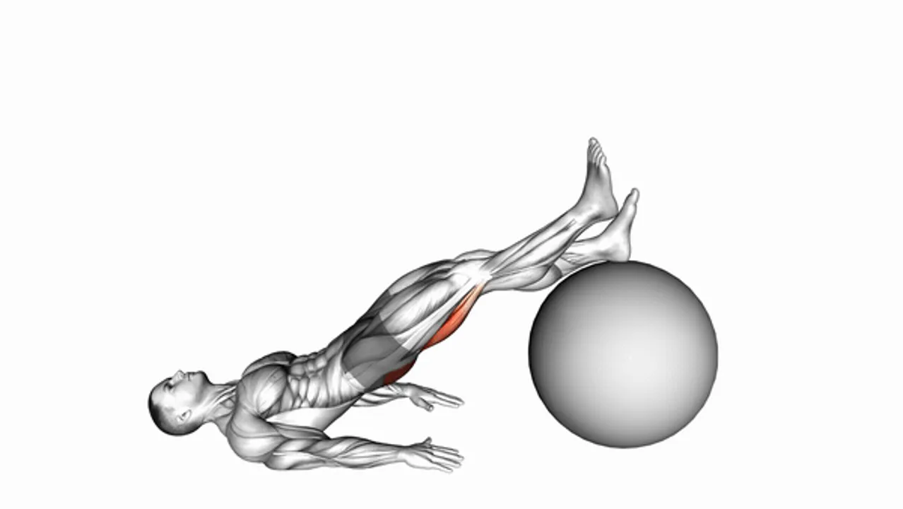 One-Legged Diagonal Kick with Exercise Ball