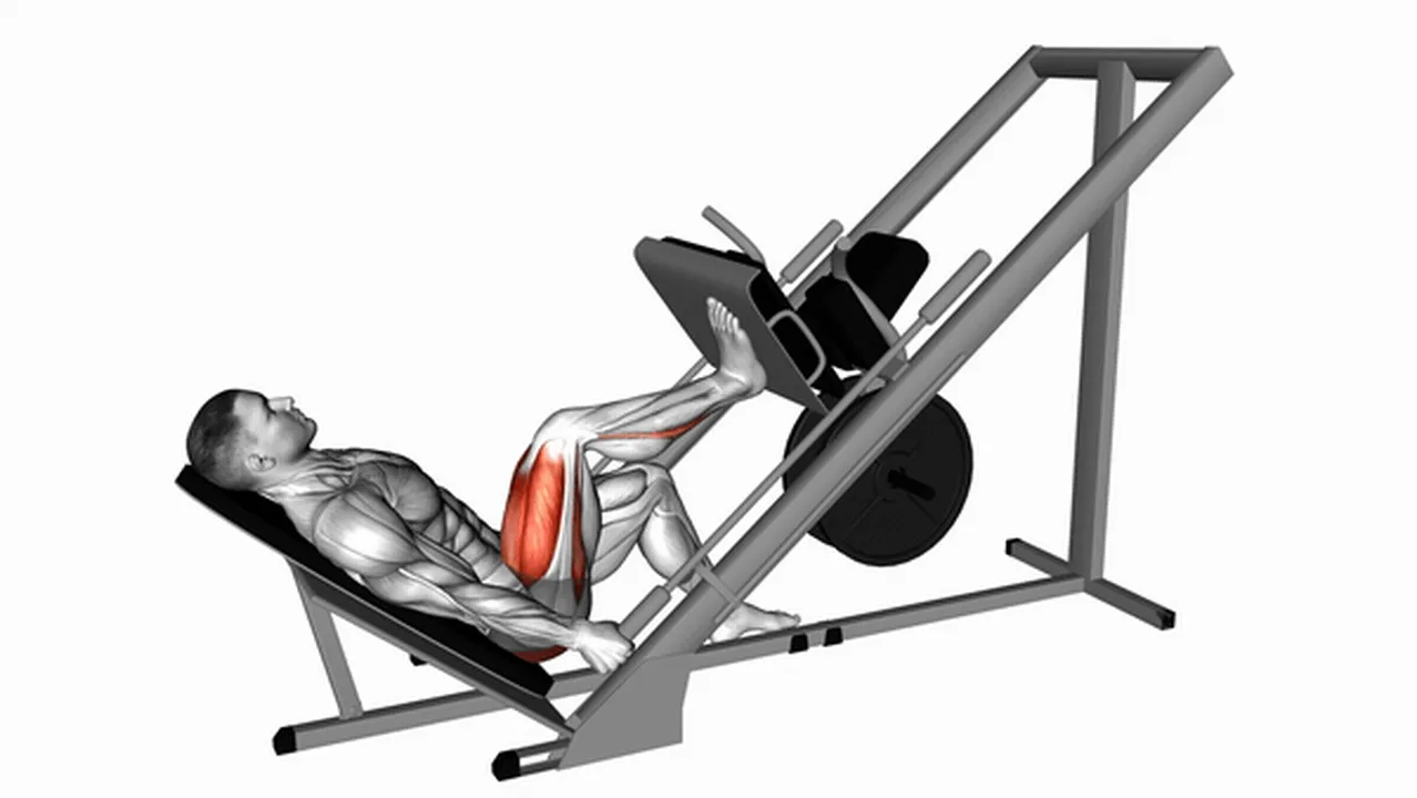 Alternatives to the One-Legged Sled Press Image