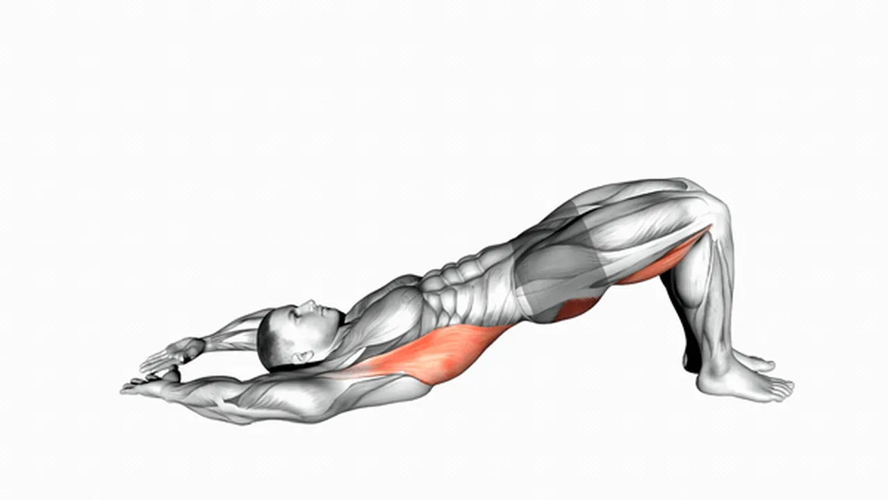 Common Pelvic Tilt into Bridge variations Image