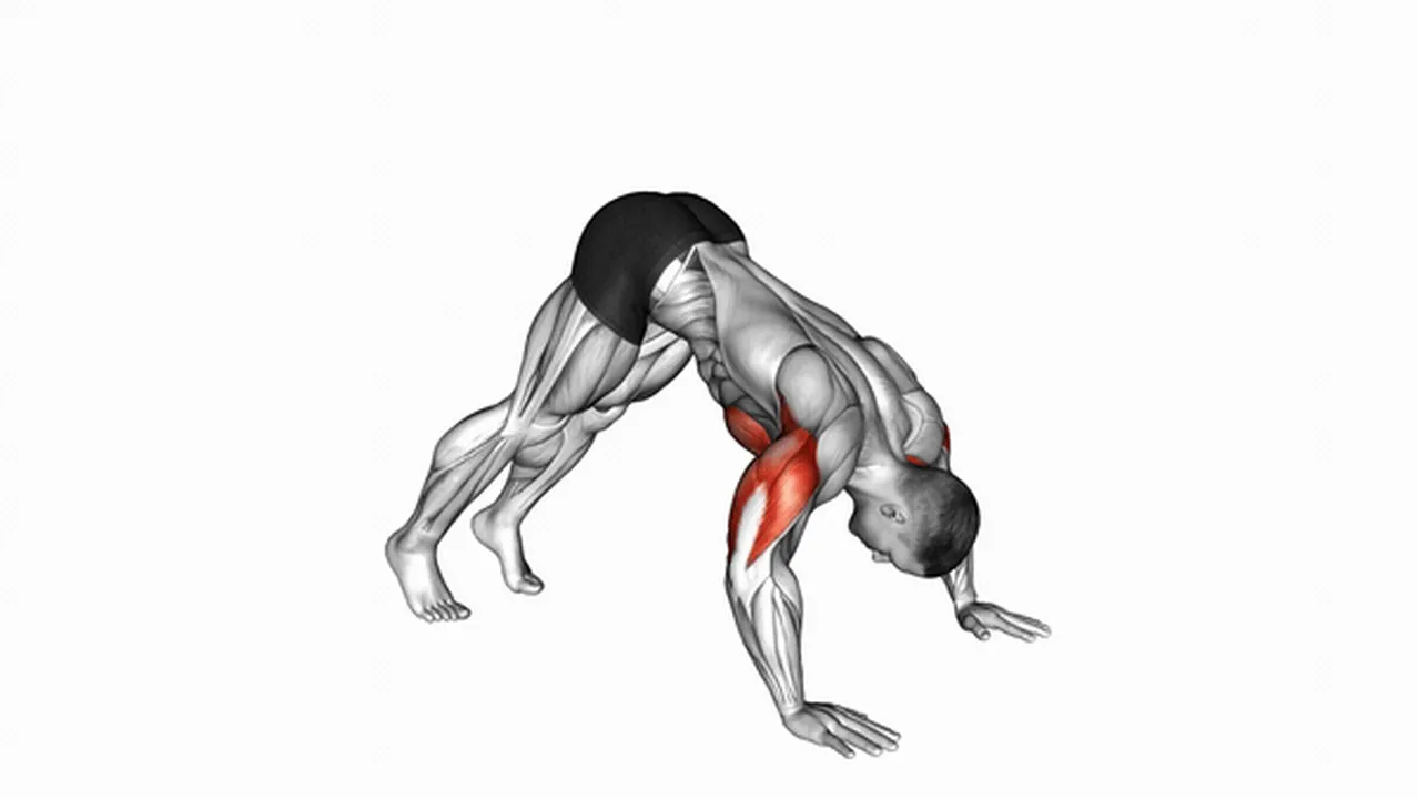 Common mistakes during Pike Push-Ups Image