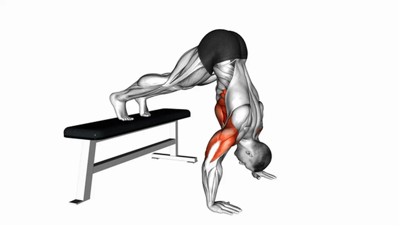 What are the benefits of Pike Push-Ups on Bench? Image