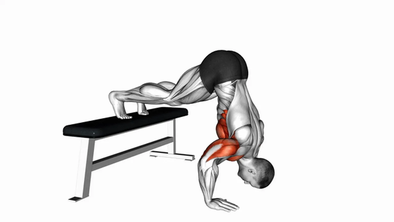 How to do Pike Push-Ups on Bench? Image