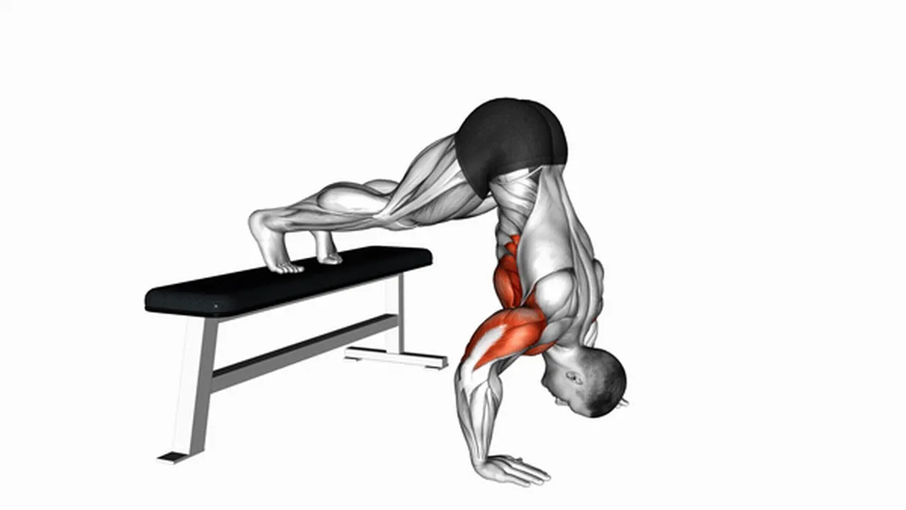 Common Pike Push-Up on Bench variations Image