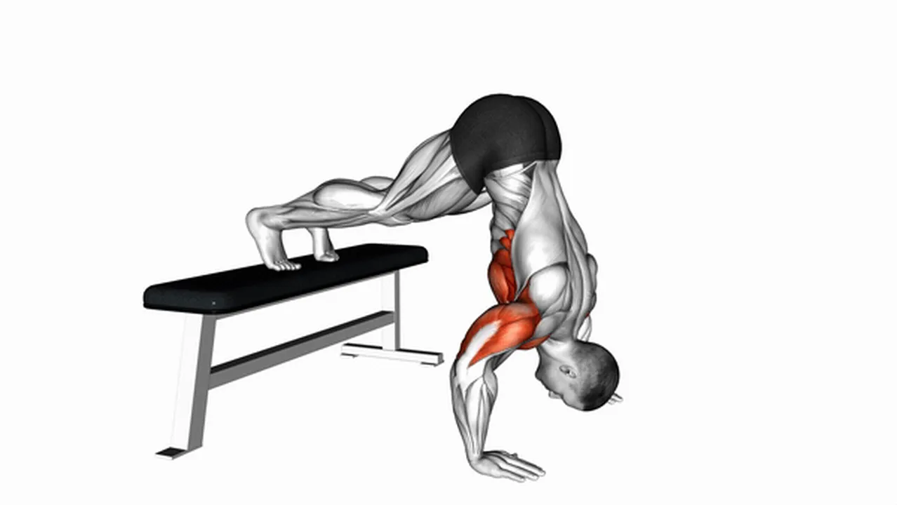 Alternatives to Pike Push-Ups on Bench Image