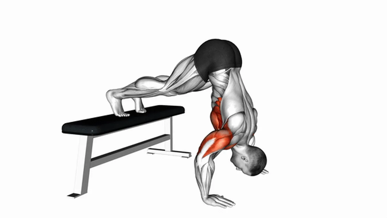 Common mistakes during Pike Push-Ups on Bench Image