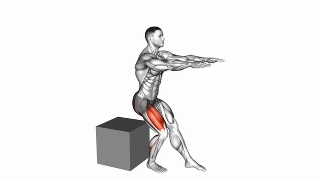 Common pistol squat to box variations Image