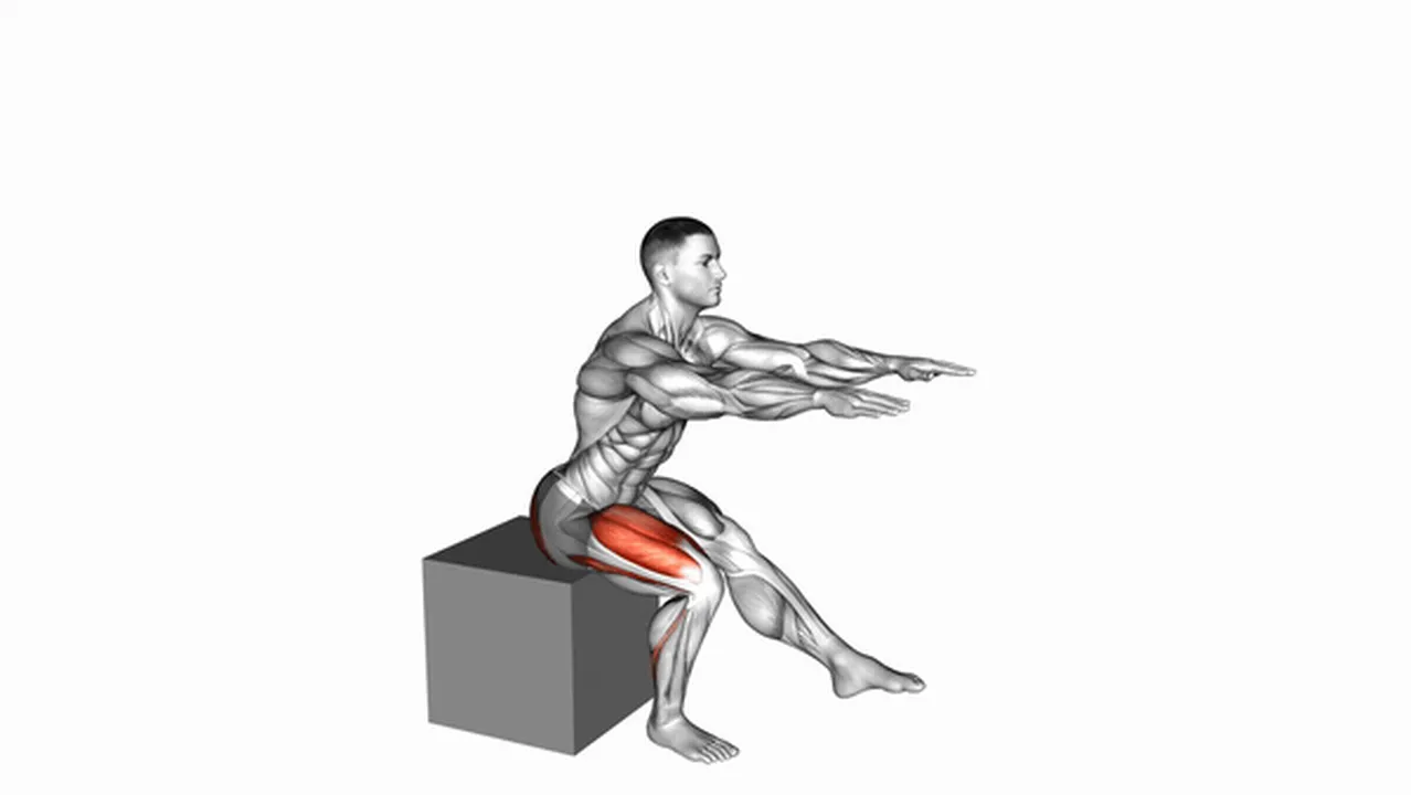 Alternatives to pistol squat to box Image