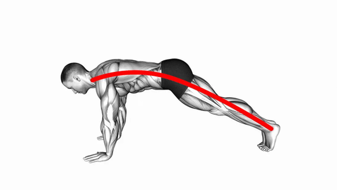 Common mistakes during Plank Image