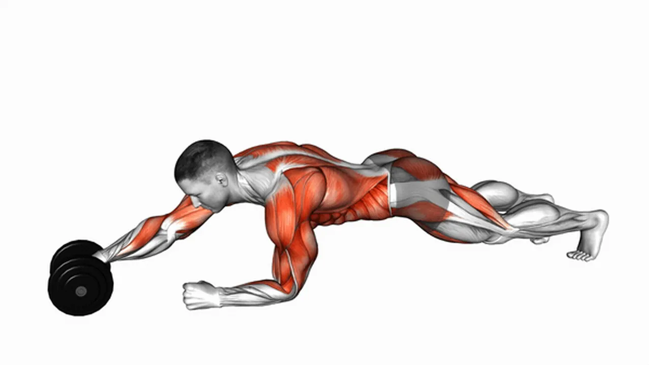 Common Plank Alternate Anti-Gravity Pull-Up variations Image