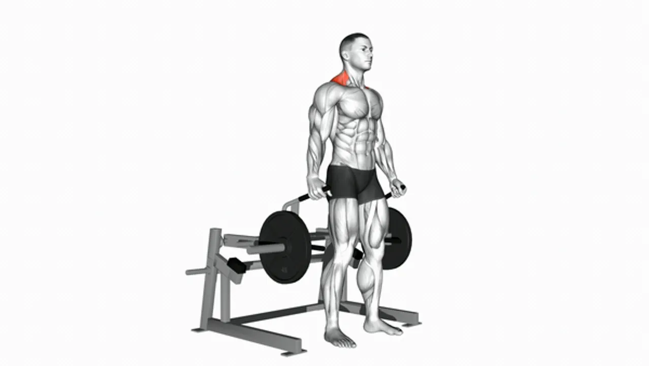 Plate-Loaded Lever Shrug