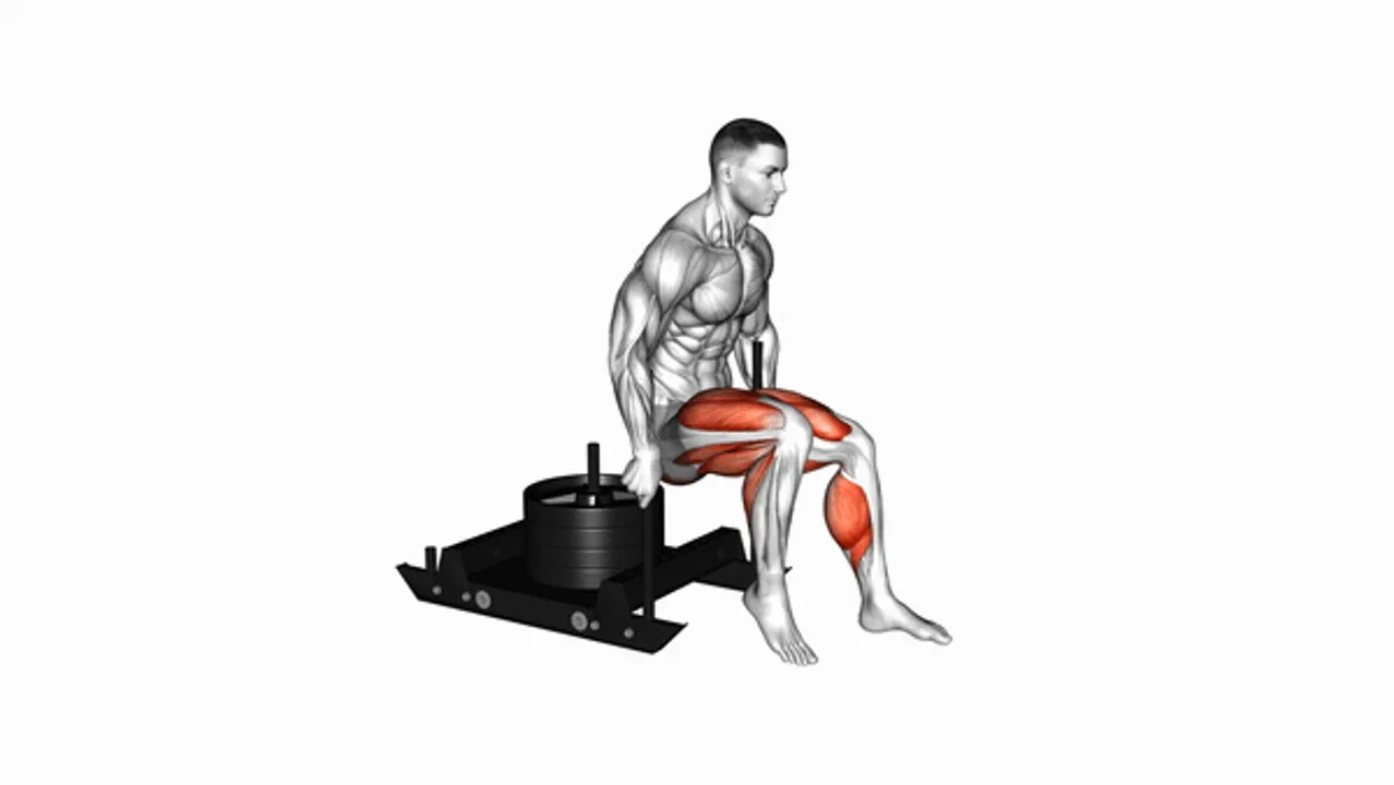 Power Sled Backward Push