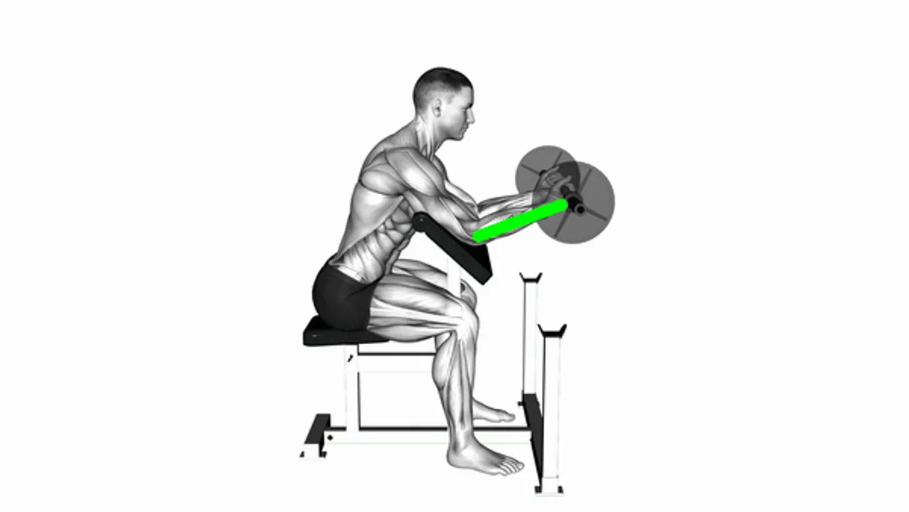 Preacher Curl