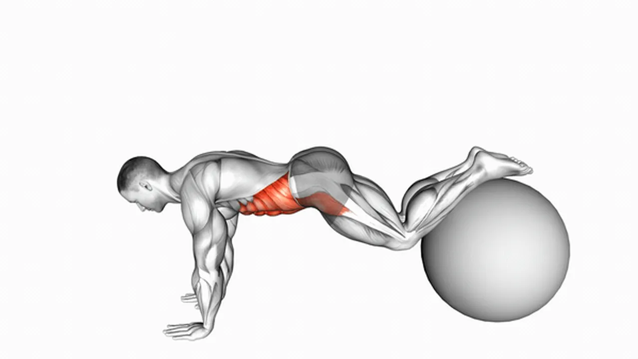 How to do Pull-Ins on Stability Ball? Image