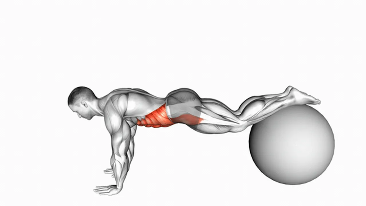 Common variations of Pull-Ins on Stability Ball Image