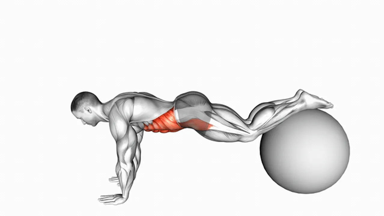 Alternatives to Pull-Ins on Stability Ball Image