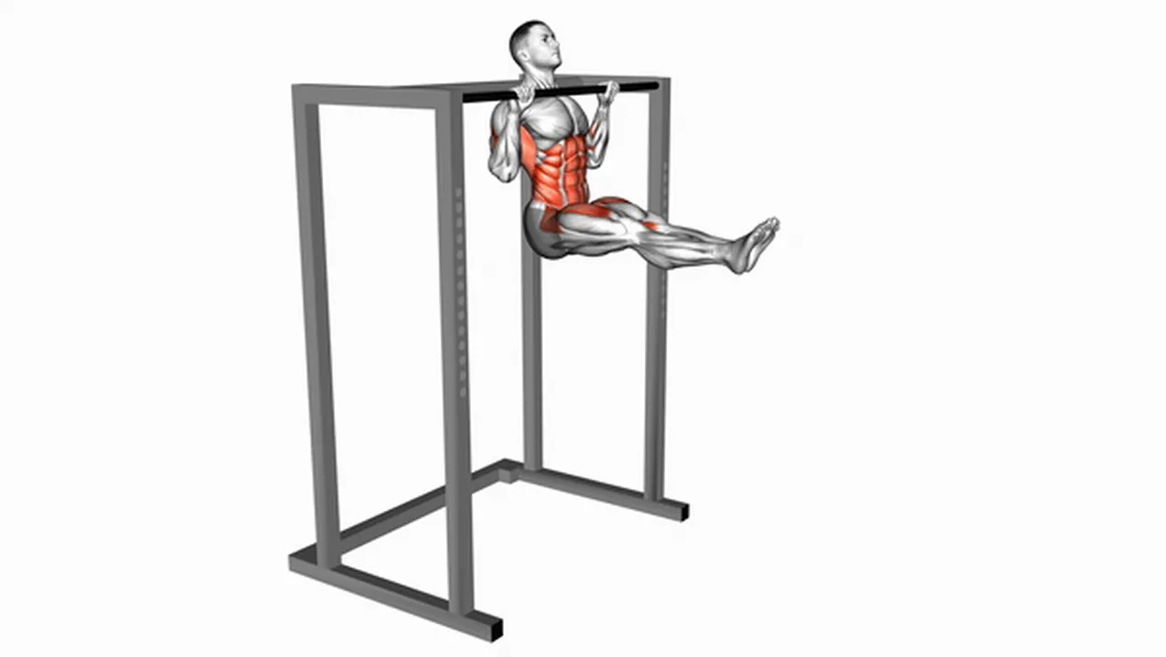 Common Pull-Up variations Image