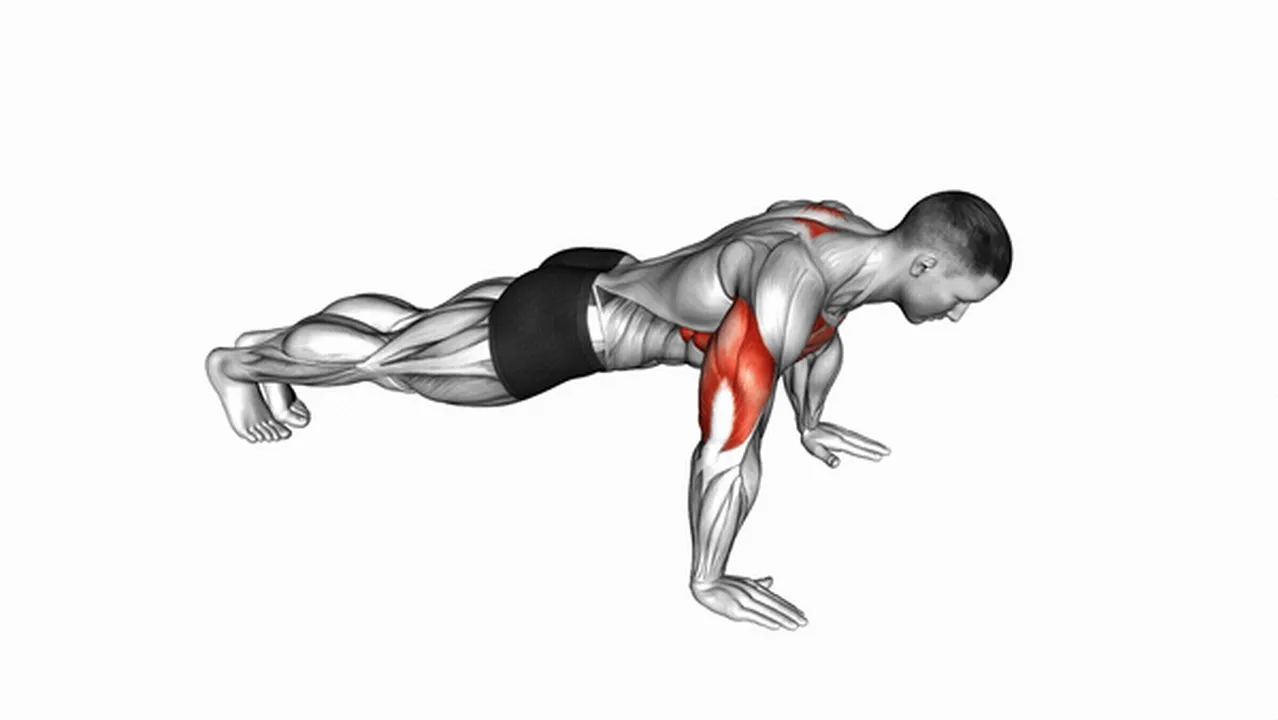 Alternatives to Push-Up Plus Image