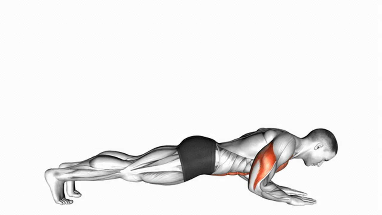 Common variations of push-ups on forearms Image