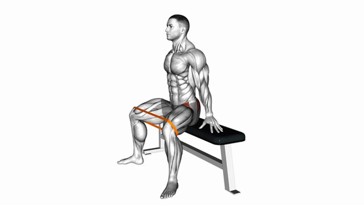 Common Resistance Band Seated Hip Abduction variations Image