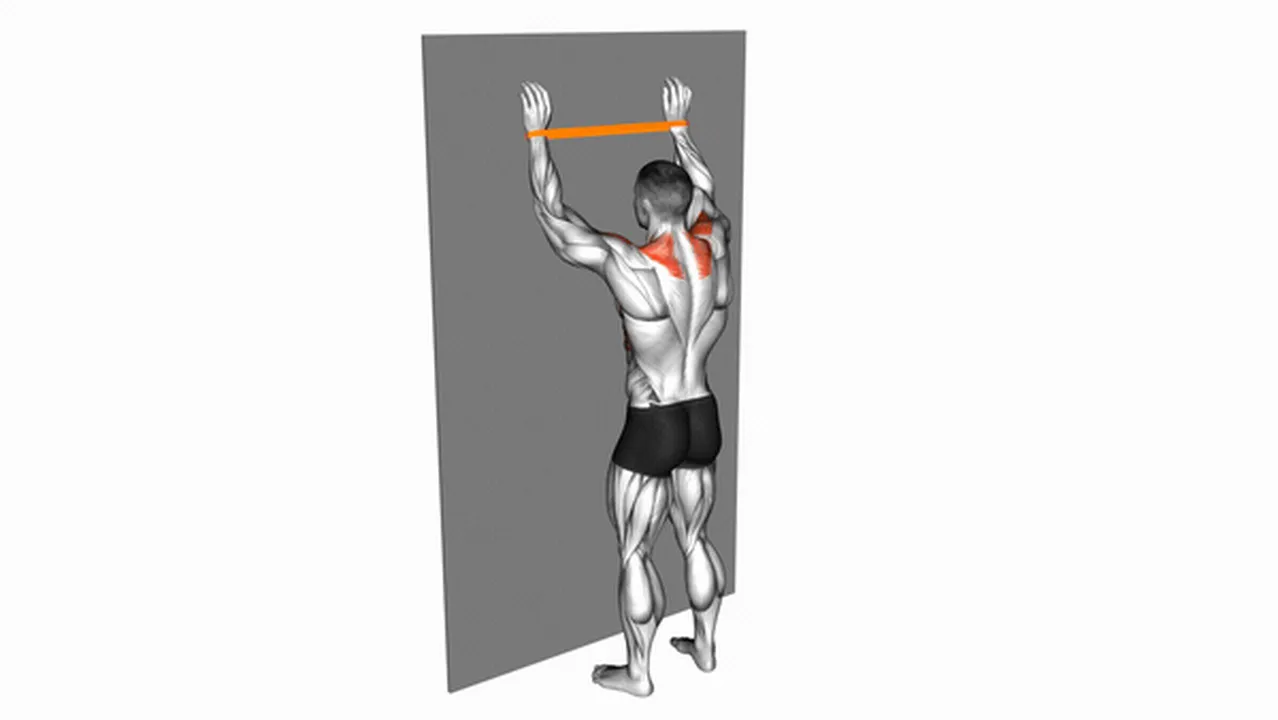 Common Resistance Band Spider Crawls variations Image