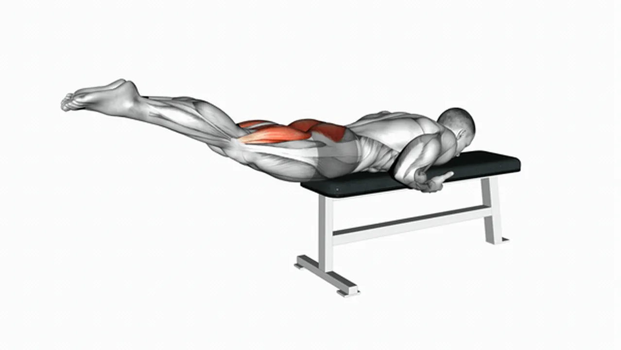 Common reverse hyperextension variations Image