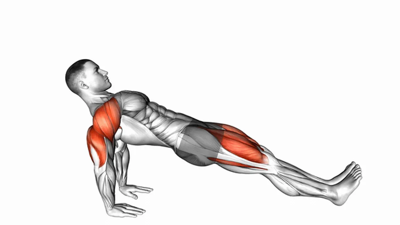 Common reverse plank variations Image