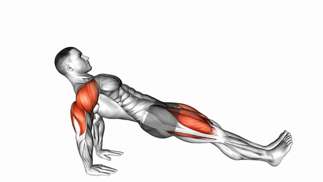 Common mistakes during reverse plank Image