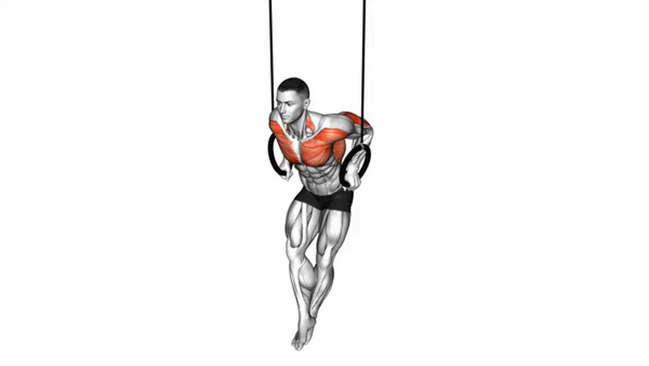 Common ring dips variations Image