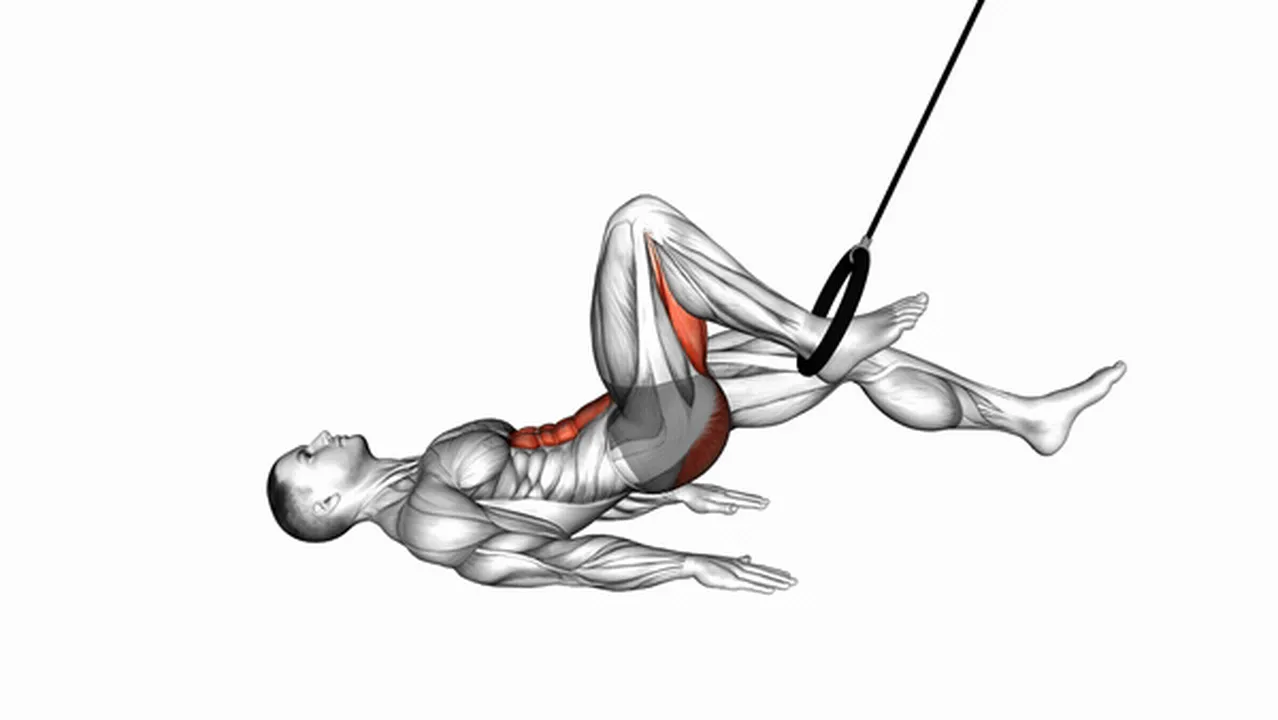 Alternatives to Ring Hip Lift Single Leg Curls Image