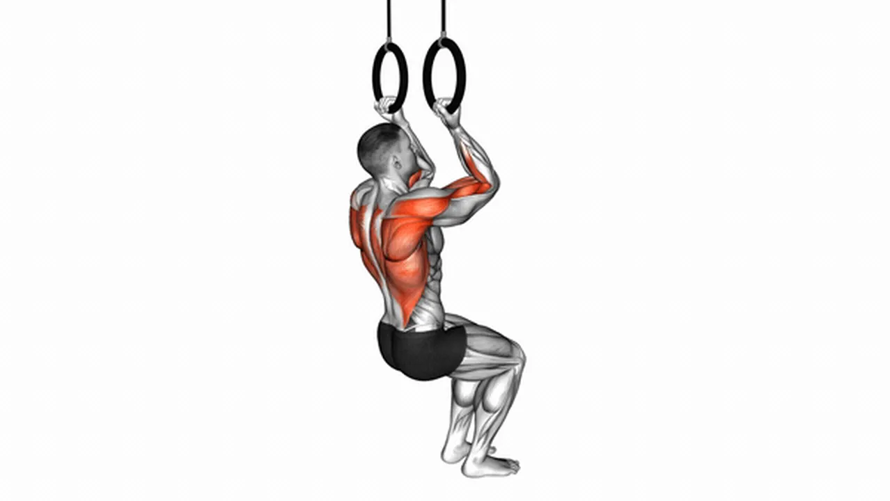 Common variations of Ring Self-Assisted Chin-Ups Image