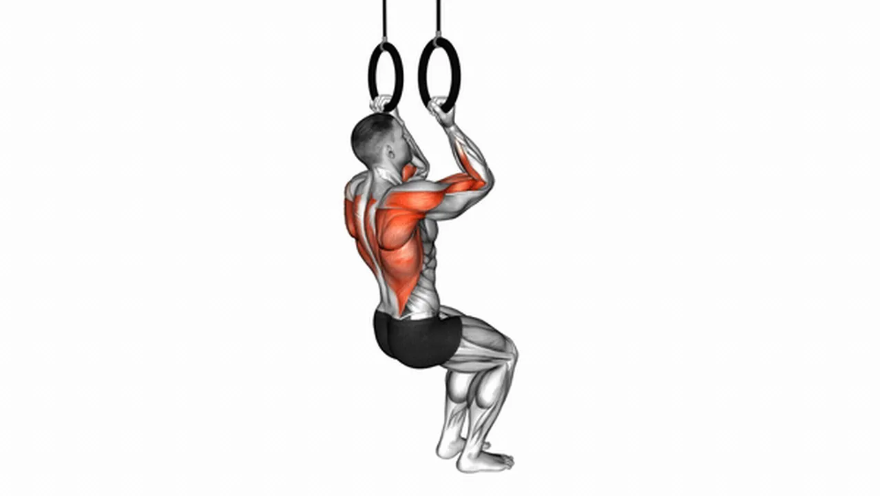 Alternatives to Ring Self-Assisted Chin-Ups Image